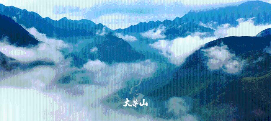 次元喵