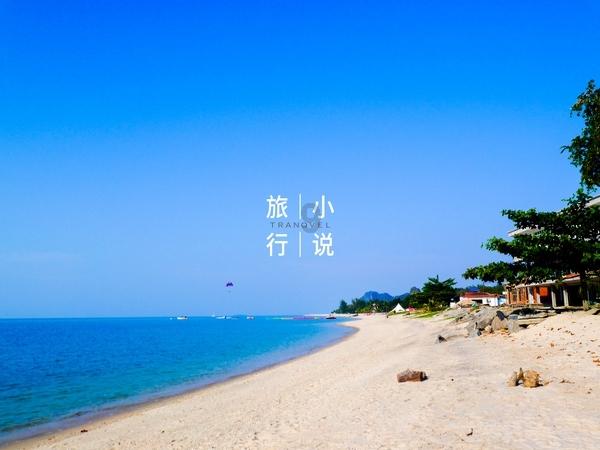 植物大战僵尸15