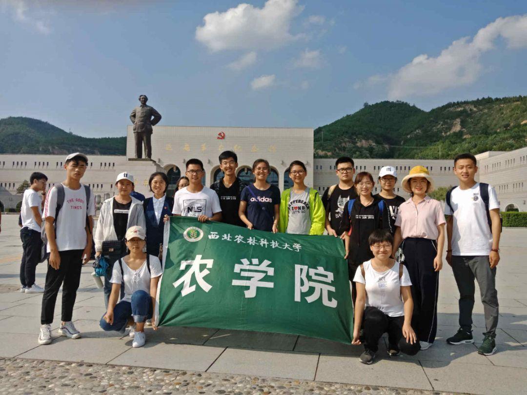 深海迷航